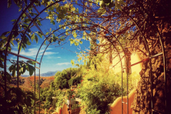 molino-del-rey-sep-2014